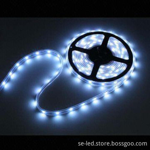 Single Color DC12V IP65 LED Pásky with FCC CE ROHS